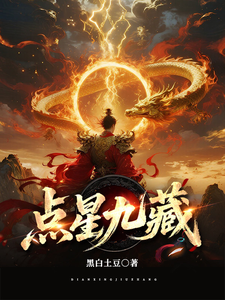 点星九藏